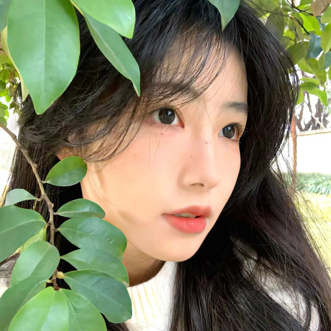 自由的怒吼